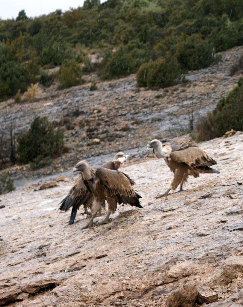 2012-Spanje (122)